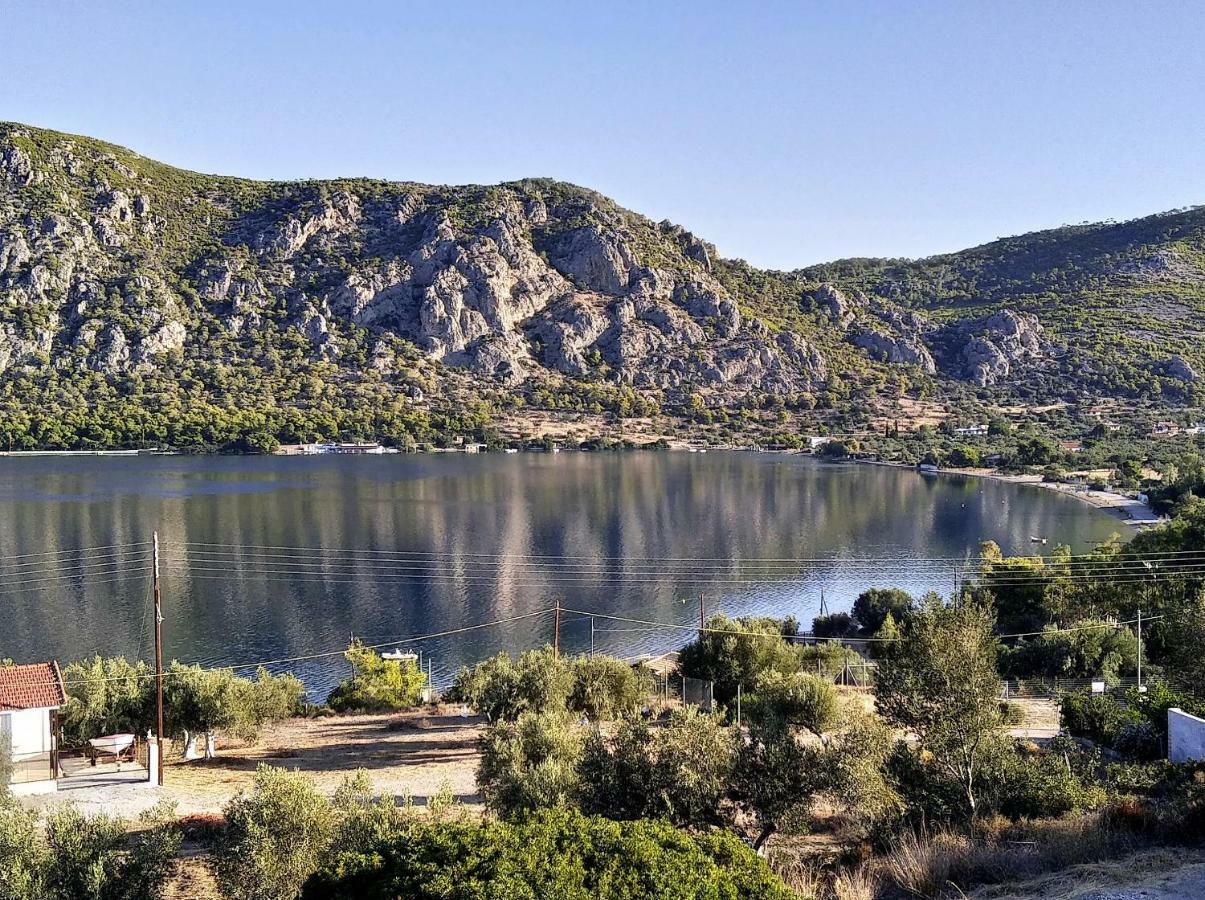 Lagoon Dreamhouse Vouliagmeni Lake Exterior photo